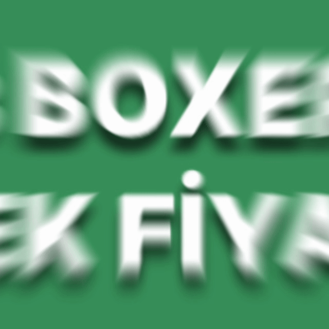 3 Boxer Tek Fiyat
