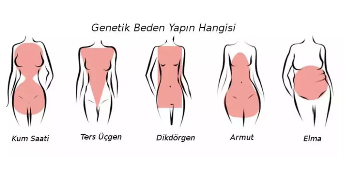 genetik_beden_yapisi.jpg