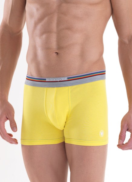 Erkek Pamuk Elastan Boxer Colours 9550 - Sarı - 1