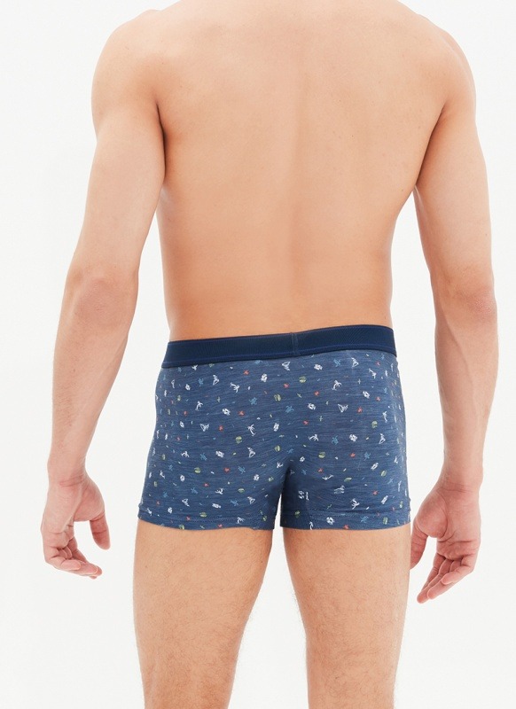 Erkek Boxer 30480 - YAZ DESEN - 2