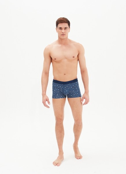 Erkek Boxer 30480 - YAZ DESEN - 3