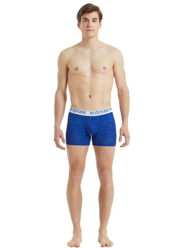 Erkek Boxer 30873 - Mavi - 2