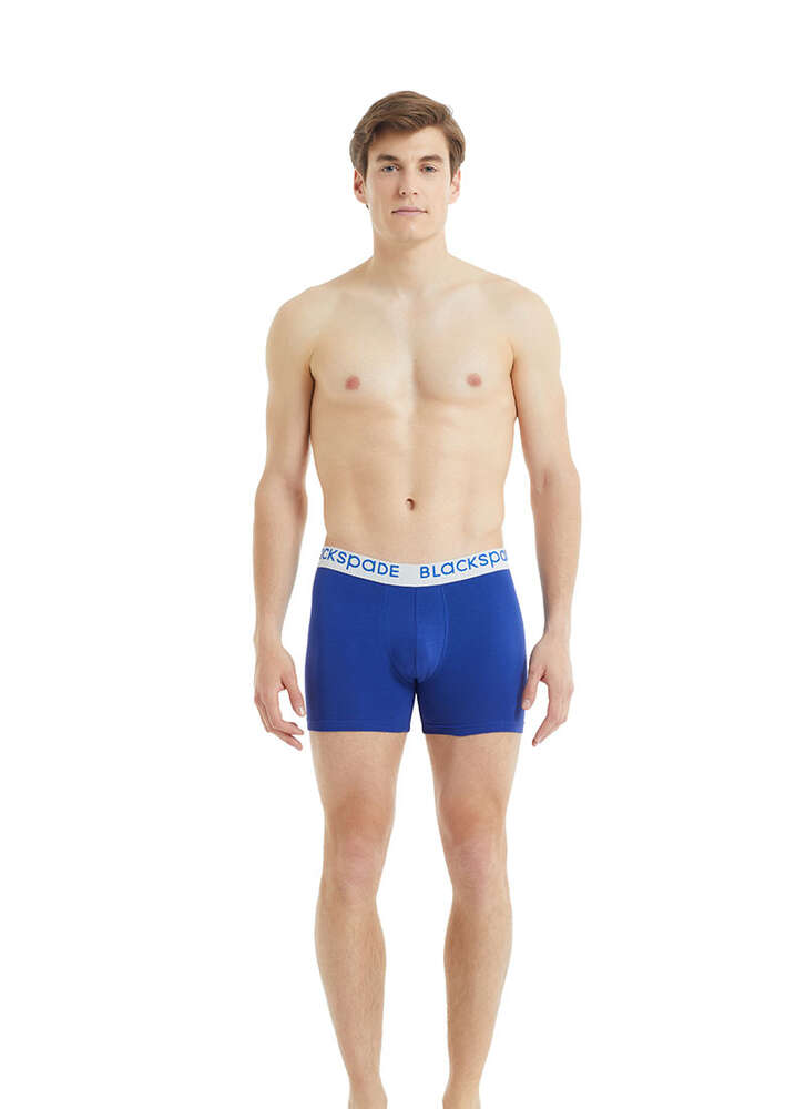 Erkek Boxer 30875 - Mavi