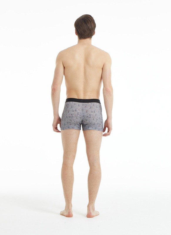 Erkek Boxer 30877 - Antrasit - 2