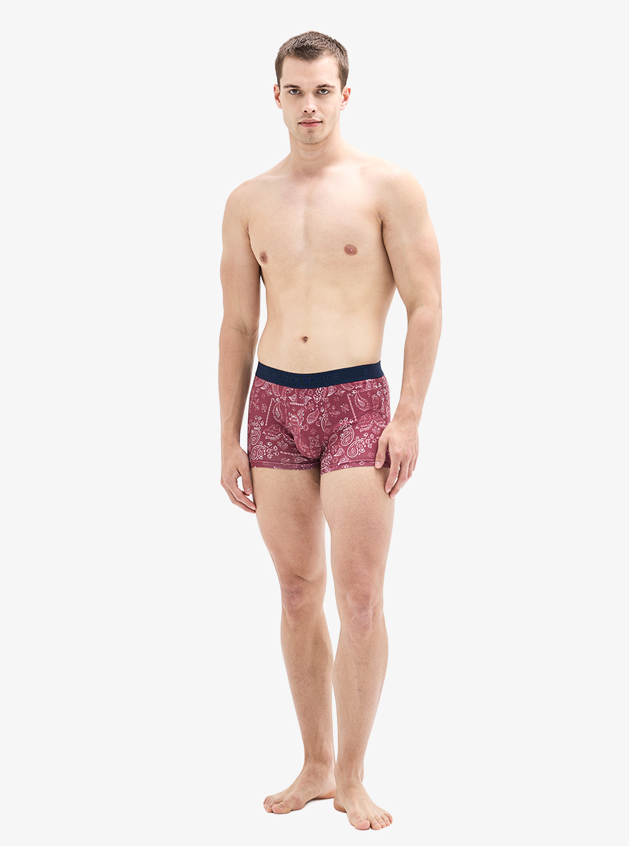 Erkek Boxer 40942 - Desenli