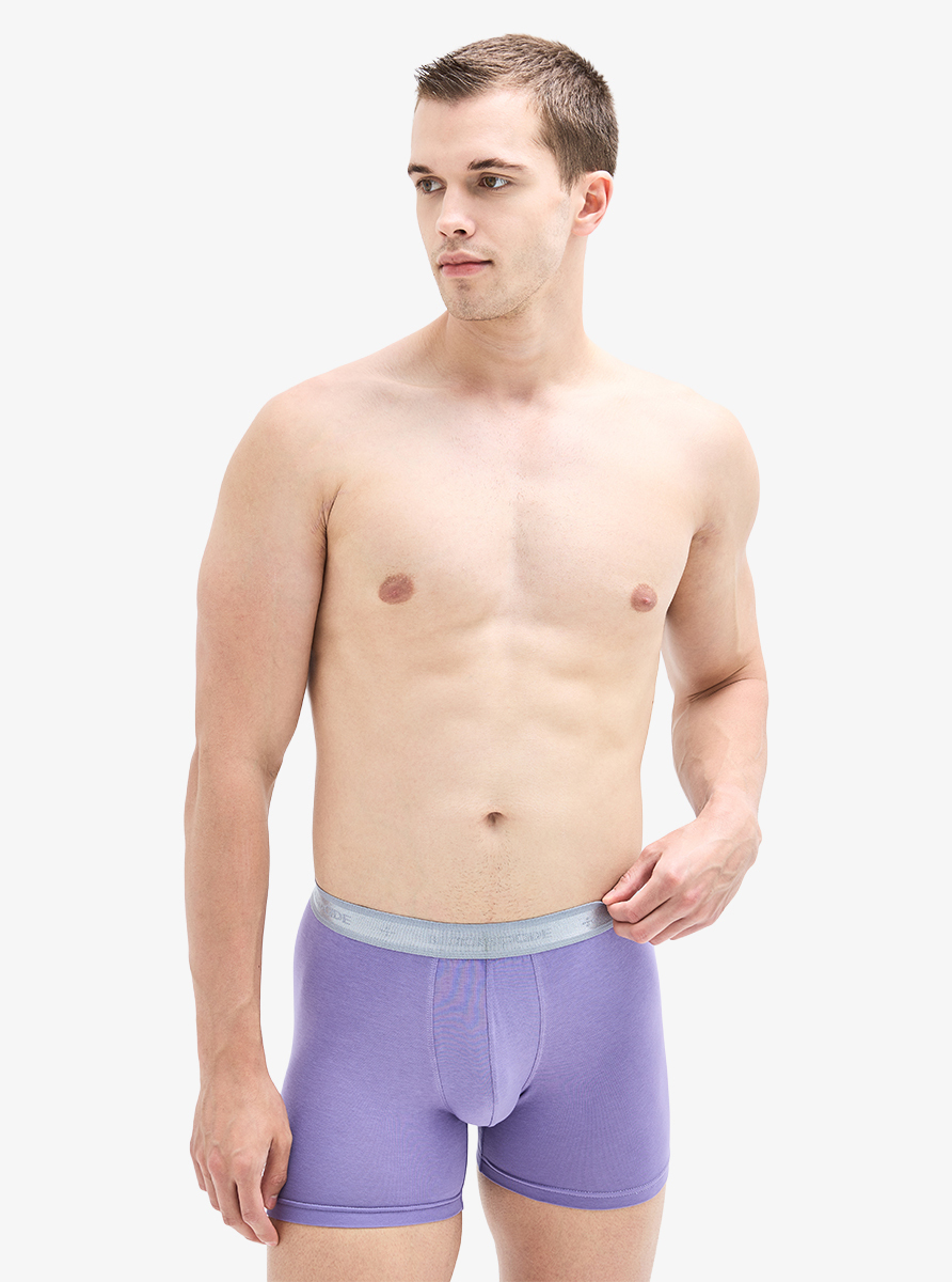 Erkek Boxer 40941 - Mor