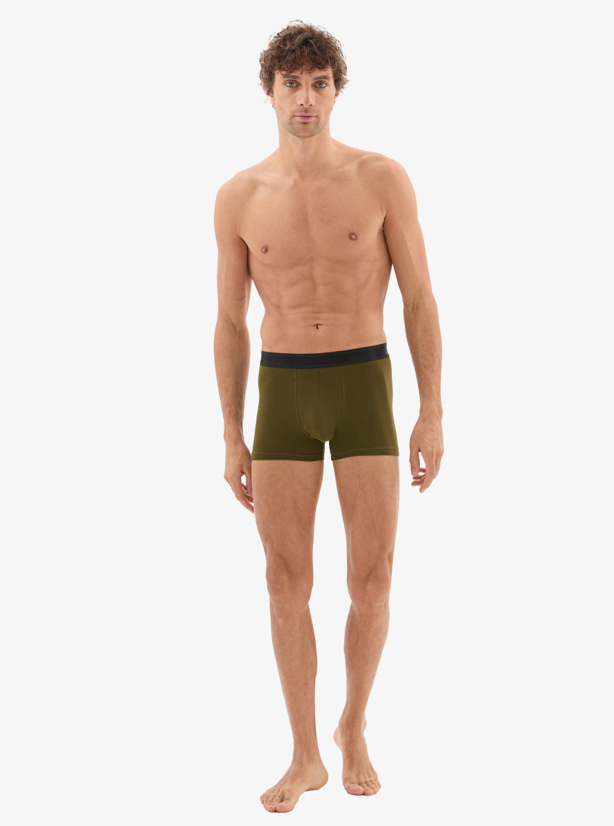 Erkek Pamuk Elastan Boxer 40863 - Yeşil - 6