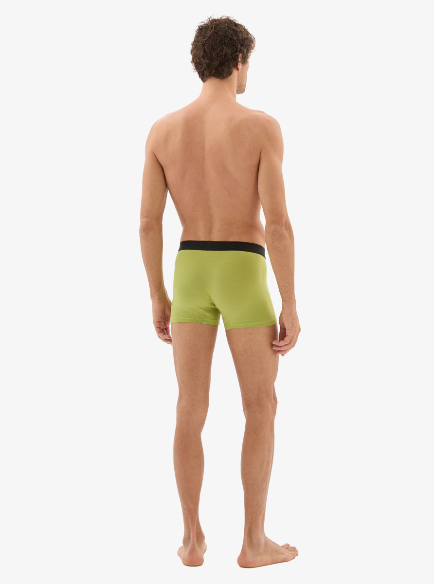 Erkek Pamuk Elastan Boxer 40865 - Yeşil - 7