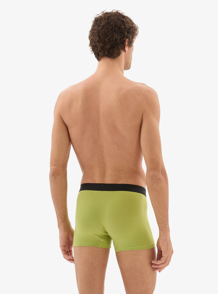 Erkek Pamuk Elastan Boxer 40865 - Yeşil - 2