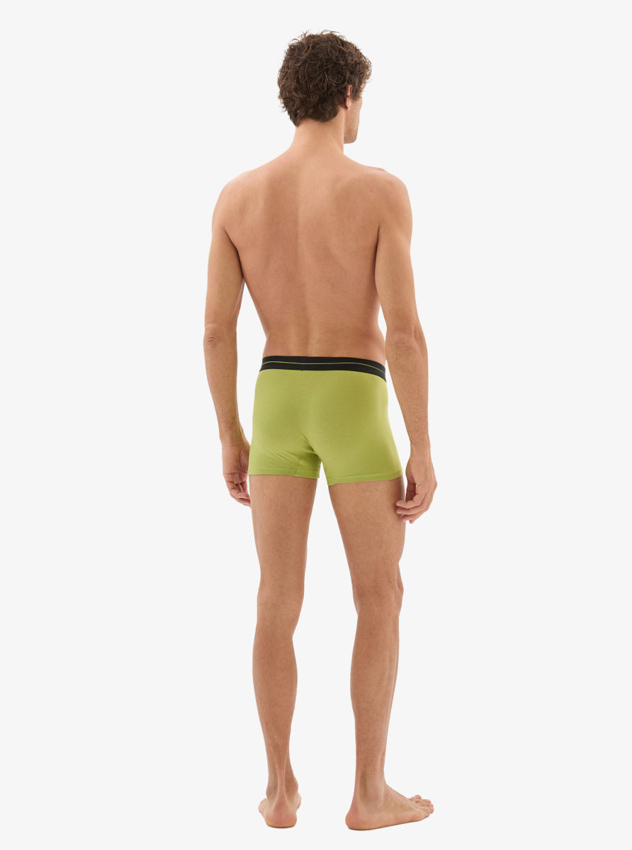 Erkek Pamuk Elastan Boxer 40865 - Yeşil - 4
