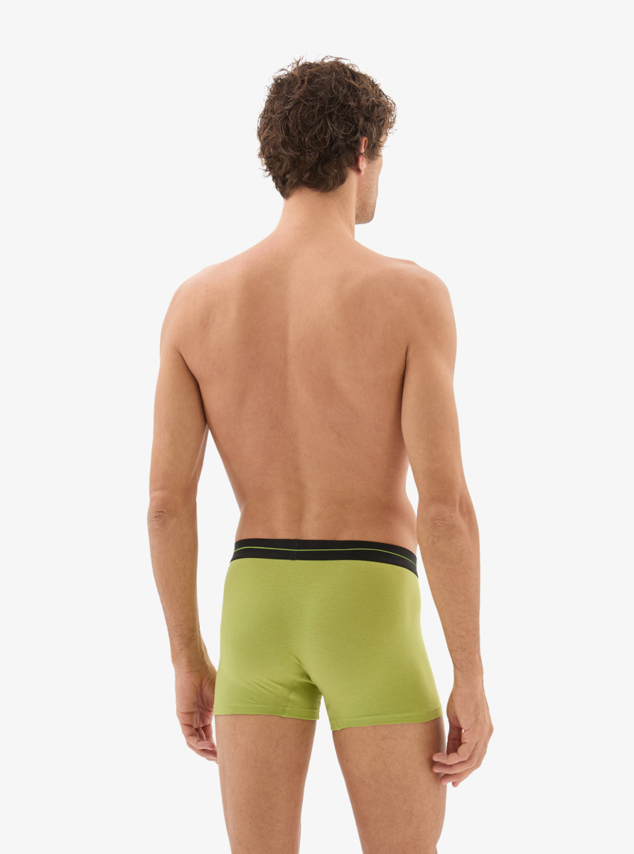 Erkek Pamuk Elastan Boxer 40865 - Yeşil - 2