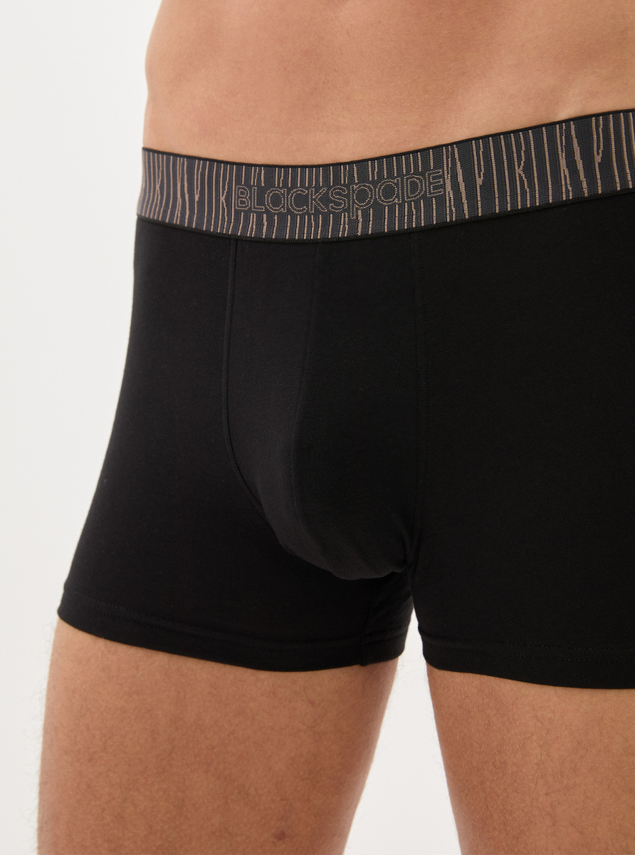 Erkek Pamuk Elastan Boxer 40866 - Siyah - 4