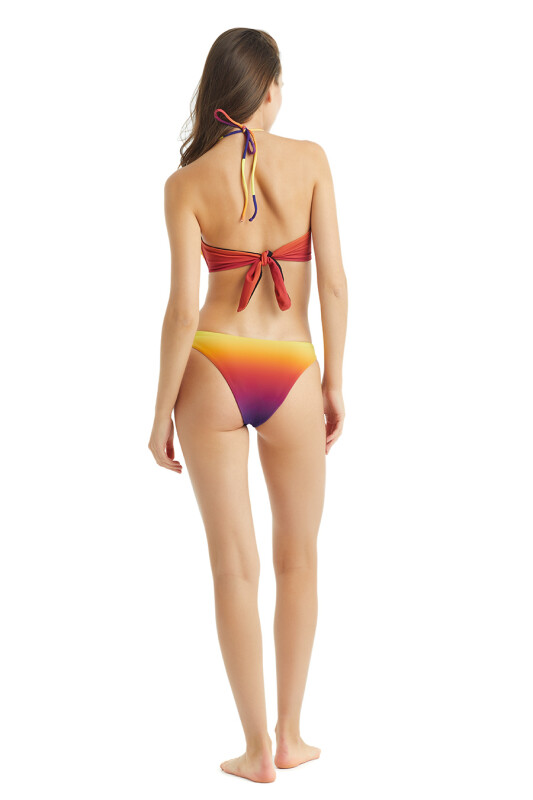 Kadın Bikini Alt 10253 - Desenli - 4