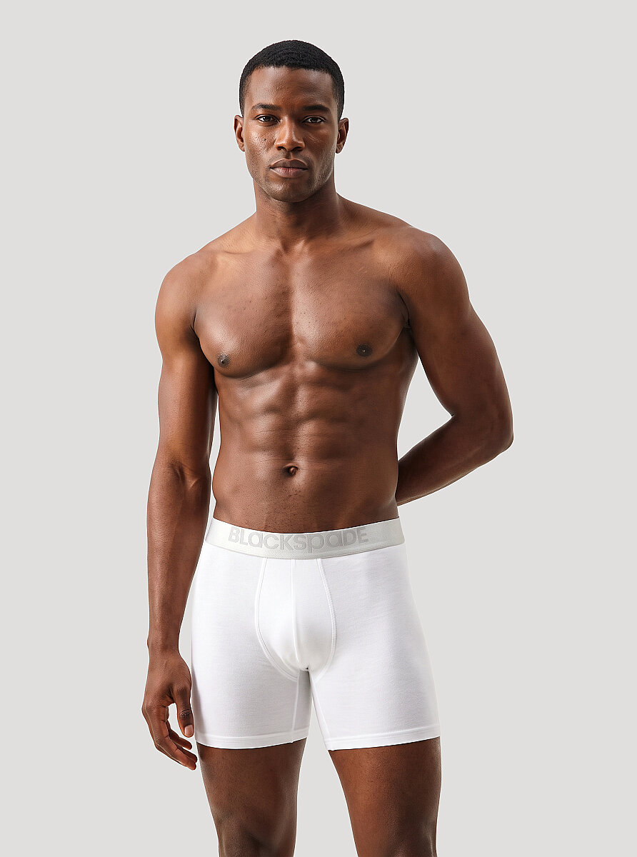 Erkek Modal Elastan Boxer Silver 9303 - Beyaz - Blackspade